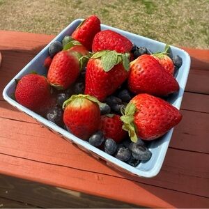 NEW! Charming Farmhouse Style Floral Ceramic Berry Basket 6”HX3’W Set of…
